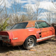 Image for article titled Missing 1967 Ford Shelby GT500 Prototype Miraculously Discovered 50 Years Later
